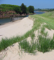 Basin Head Inlet